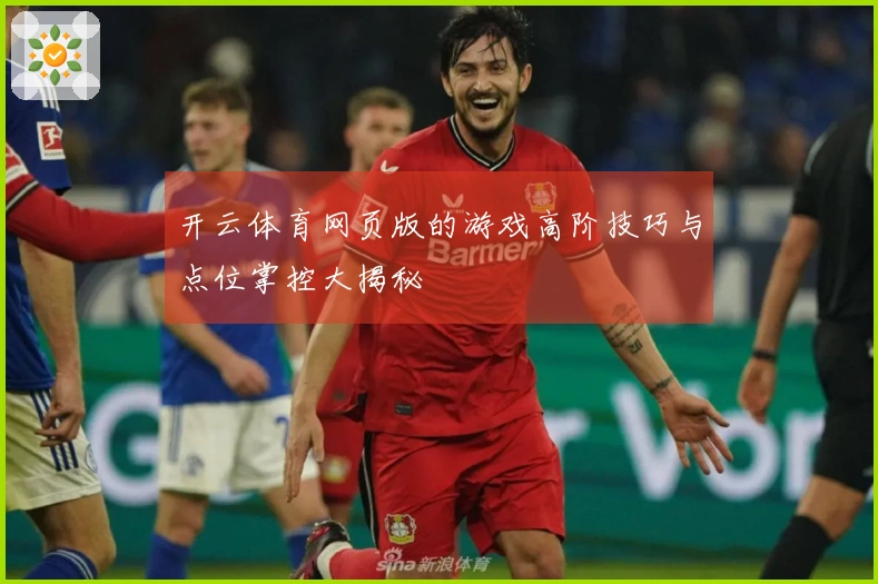 开云体育网页版的游戏高阶技巧与点位掌控大揭秘