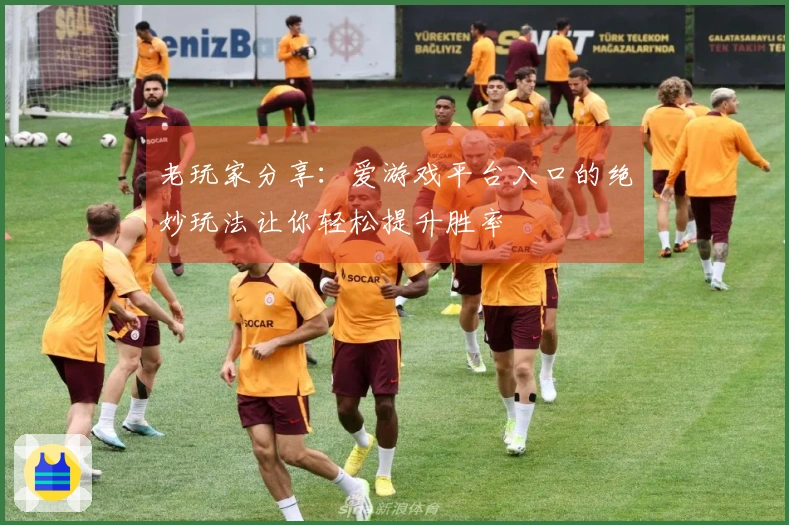 老玩家分享：爱游戏平台入口的绝妙玩法让你轻松提升胜率